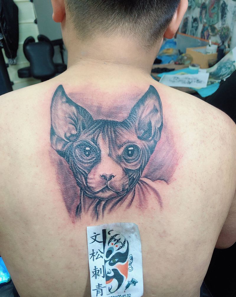 斯芬克斯猫纹身图片_背部纹身图案