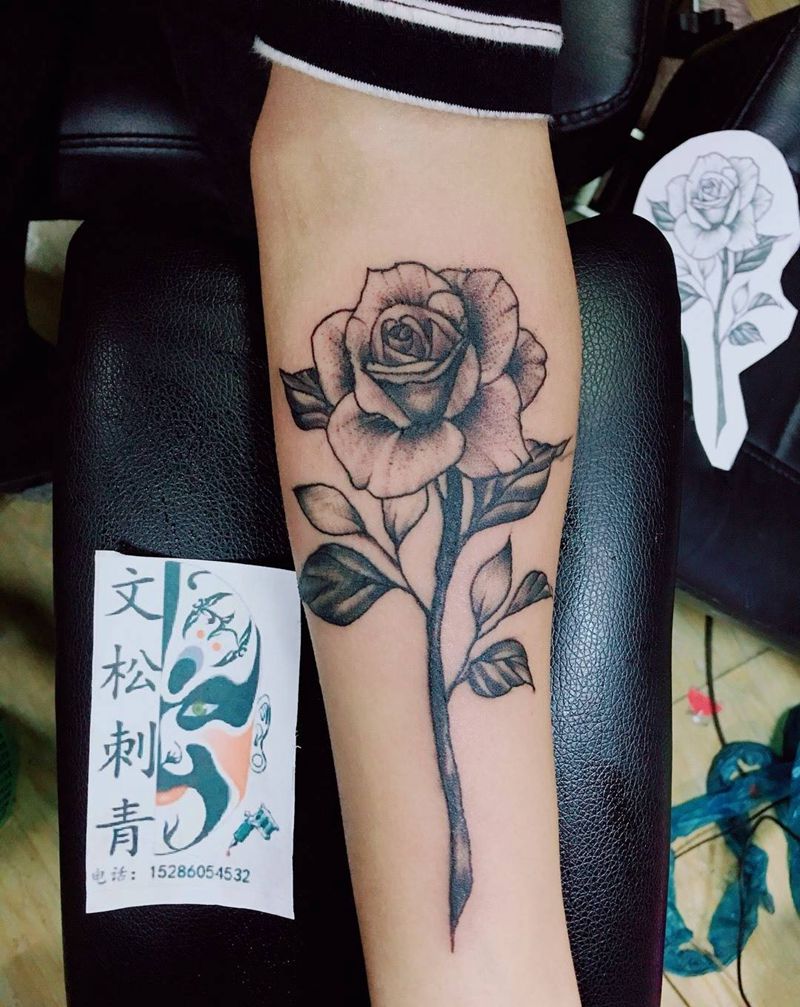 素玫瑰纹身图片
