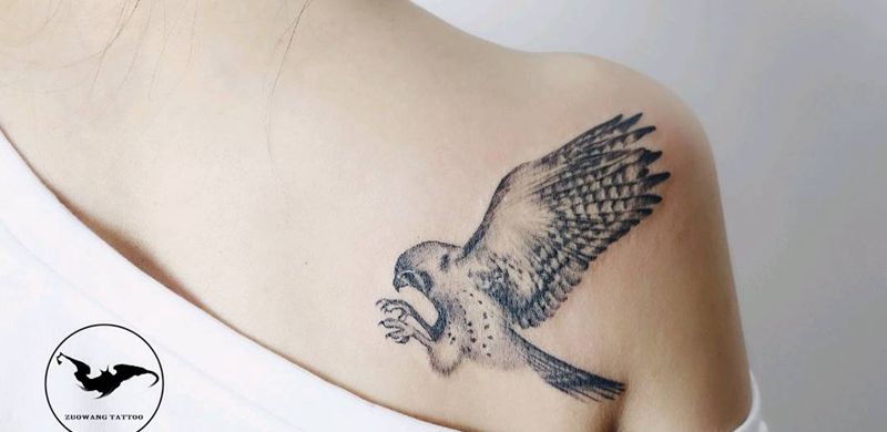 隼纹身图片_肩部欧美写实纹身图案