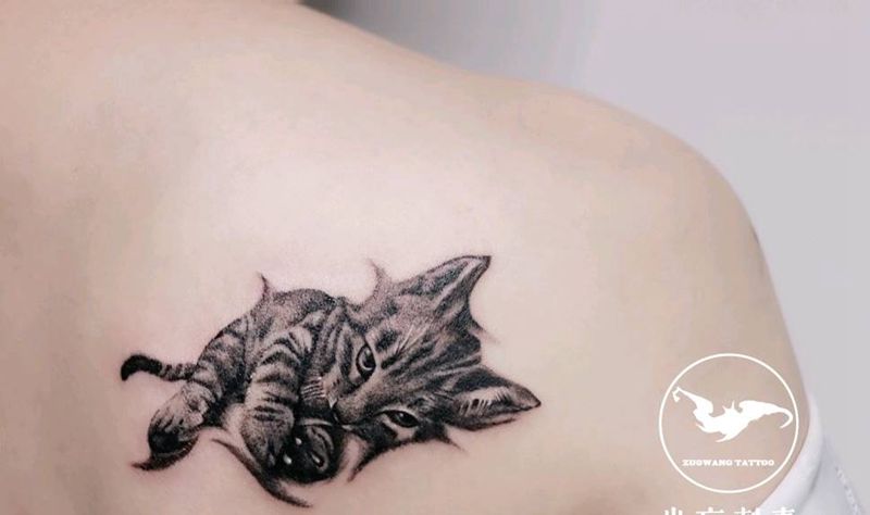 爱宠猫咪纹身图片_背部欧美写实纹身图案