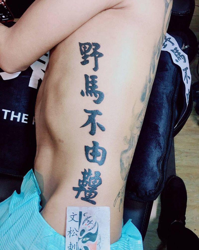 野马不由缰枫藤不沿墙纹身图片