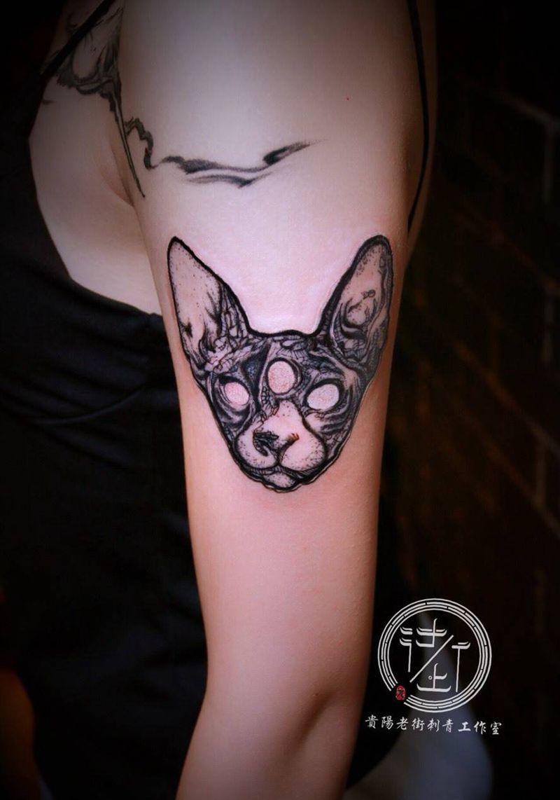 无毛猫纹身图片