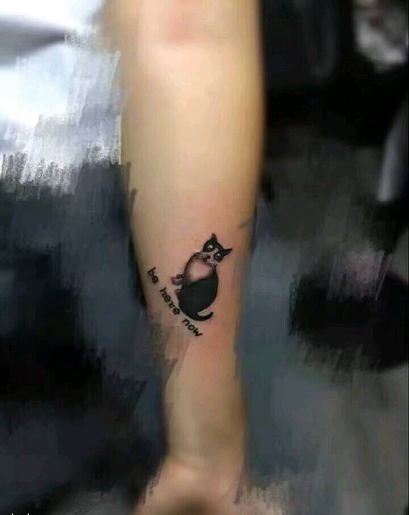 小猫纹身图片