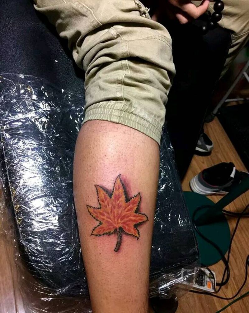 战绩记录，枫叶纹身图片_腿部习俗植物成品纹身图案