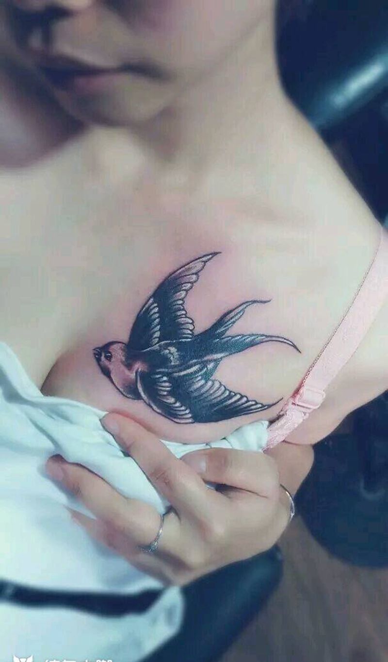 给美女打造的小燕子纹身图片