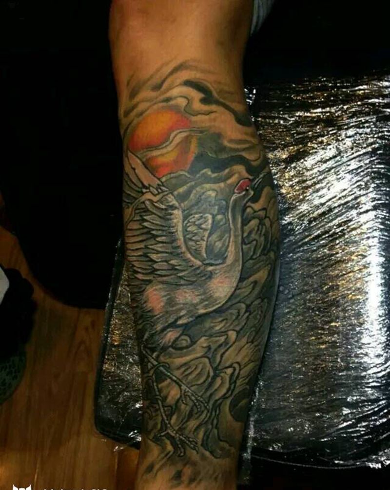 丹顶鹤微信944469684纹身图片