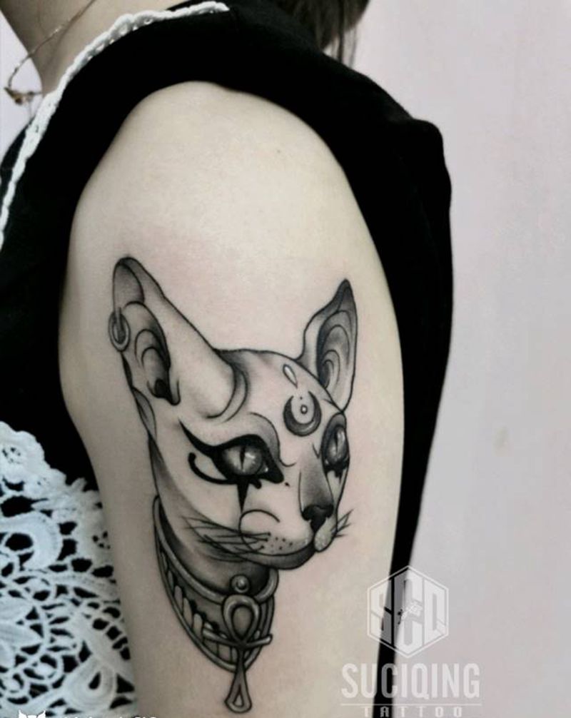 无毛猫猫，纹身图片_手臂手部New SchoolOld School纹身图案