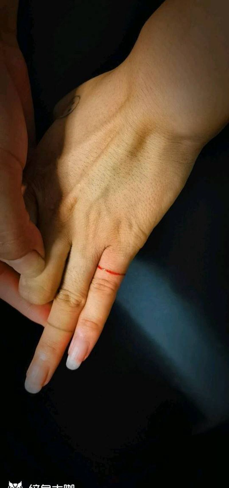 小清新纹身图片_手部新传统纹身图案