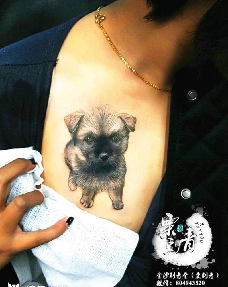 写实小狗纹身图片