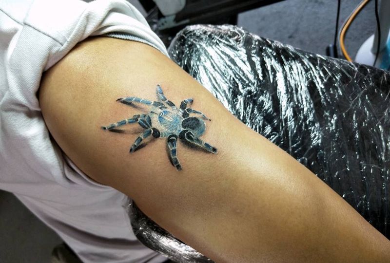 一只蛛纹身图片_手臂肩部欧美写实纹身图案