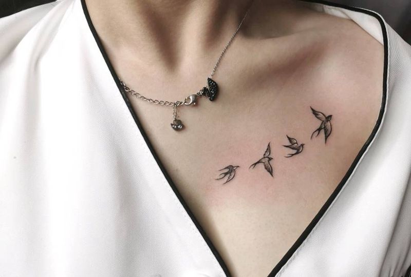 南燕海燕燕子纹身图片_胸部背部新传统Old School纹身图案