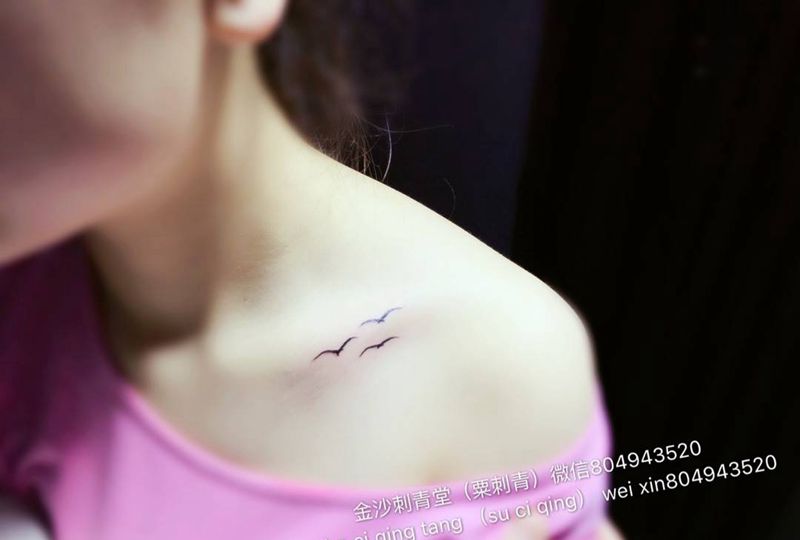 海鸥纹身图片_成品胸部原创清新纹身图案