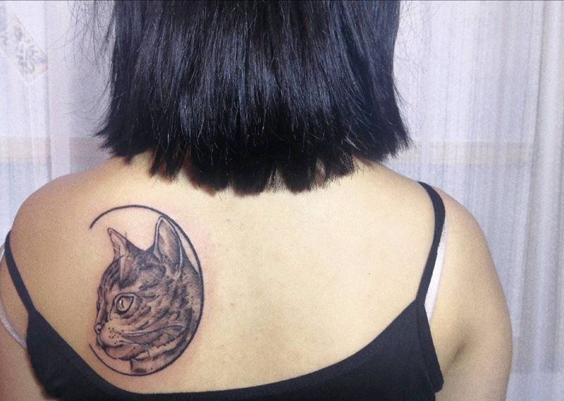 猫咪纹身图片_背部猫咪纹身图案