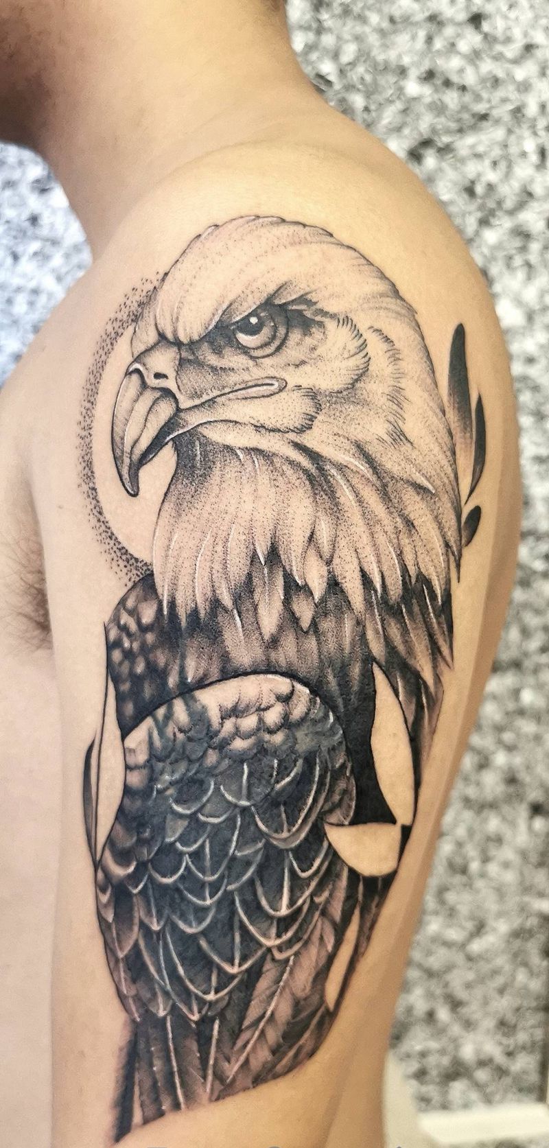 鹰纹身图片_手臂New School点刺纹身图案