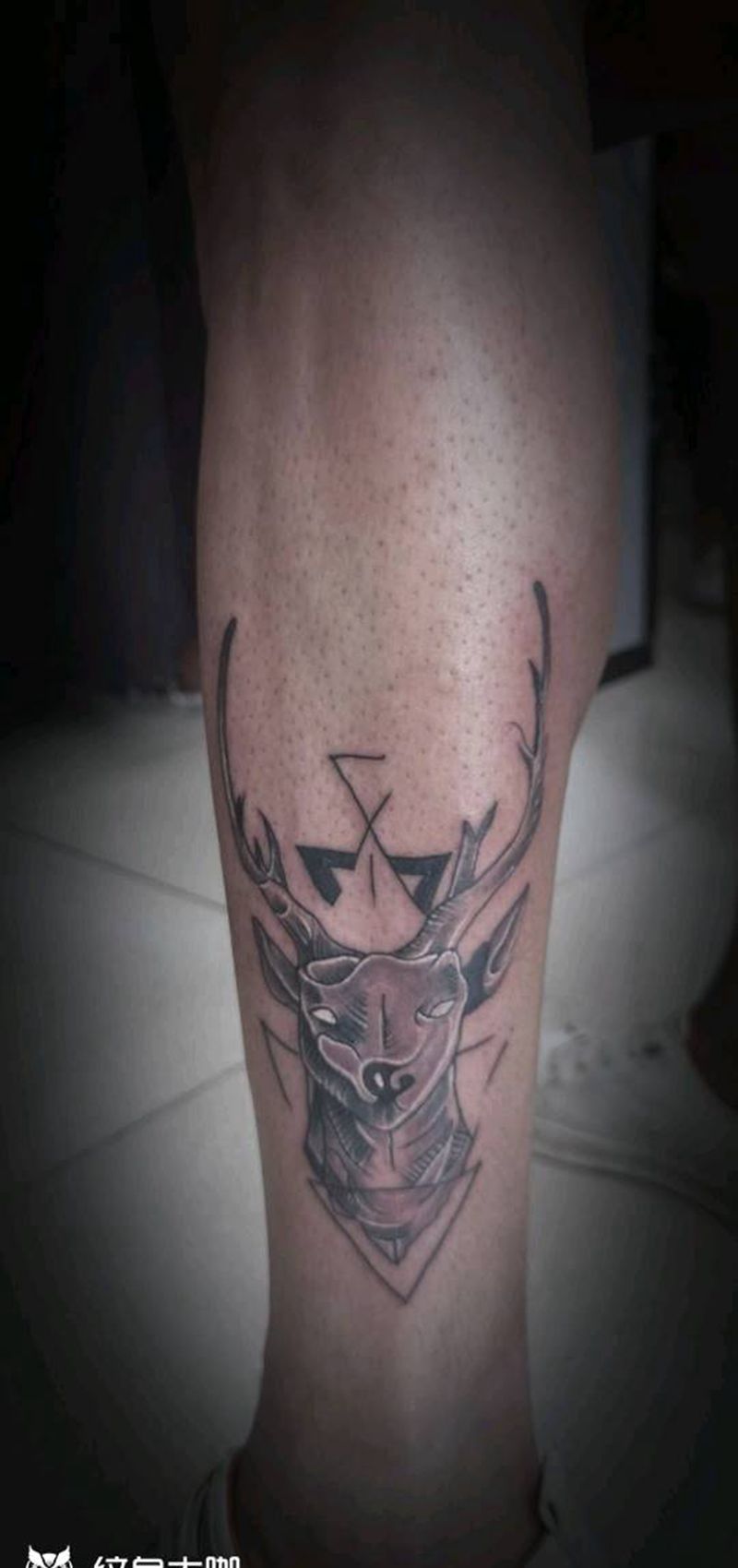 鹿纹身图片_腿部脚部新传统纹身图案