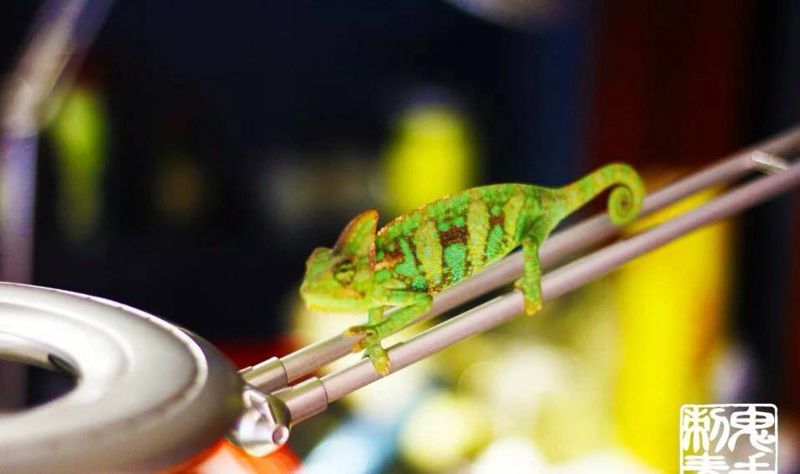 工作照纹身图片