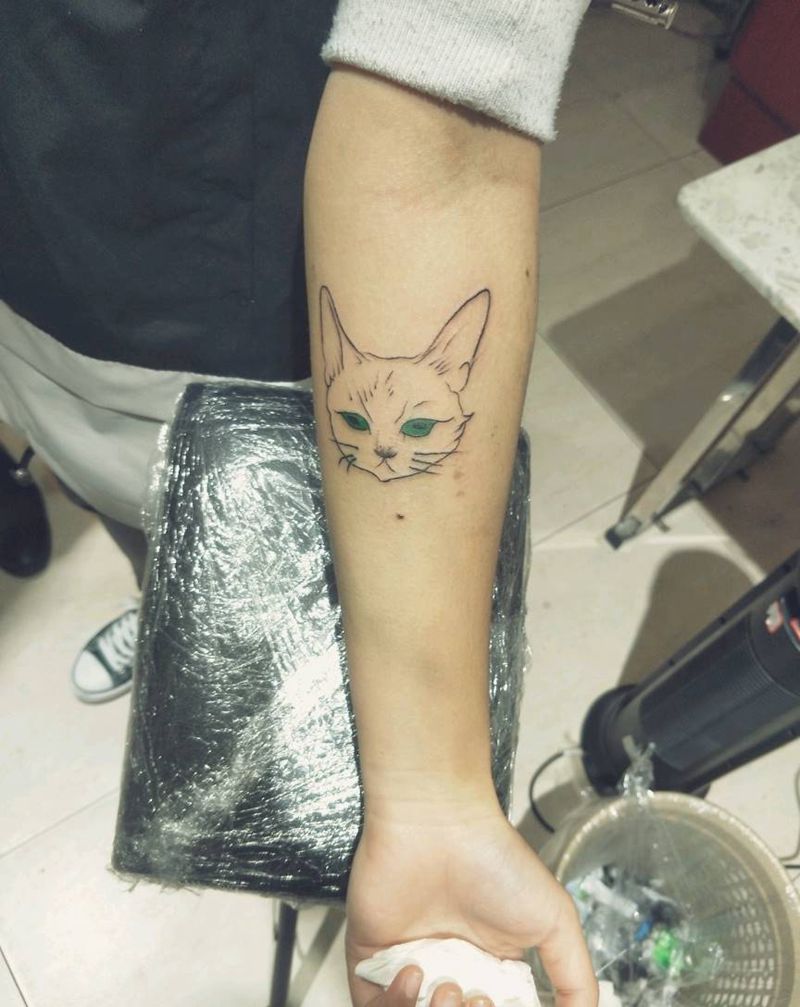 猫纹身图片_手臂纹身图案