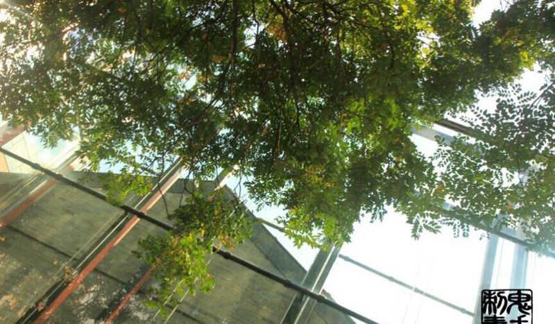 鬼手纹身纹身图片