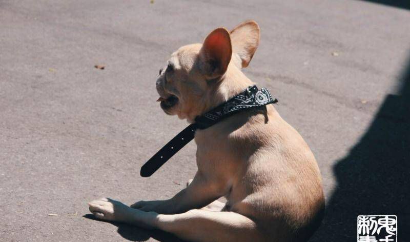 鬼手纹身4.19日日常纹身图片_鬼手云南昆明纹身图案