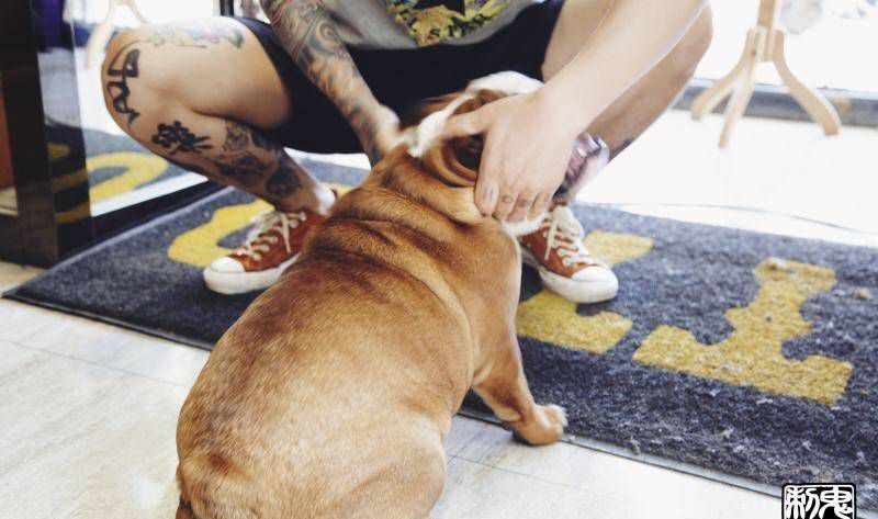 鬼手纹身4.11日日常纹身图片_鬼手云南昆明纹身图案