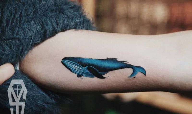 大臂内侧清新鲸鱼纹身图片_手臂手部New School水彩鲸鱼小清新大臂内侧纹身图案