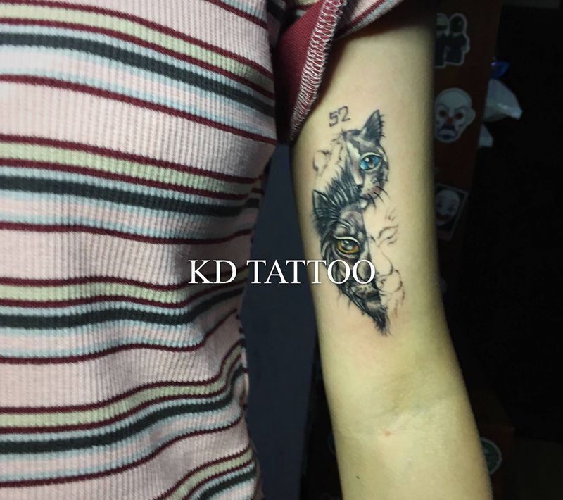 狮子猫纹身图片_手臂清新小图纹身图案