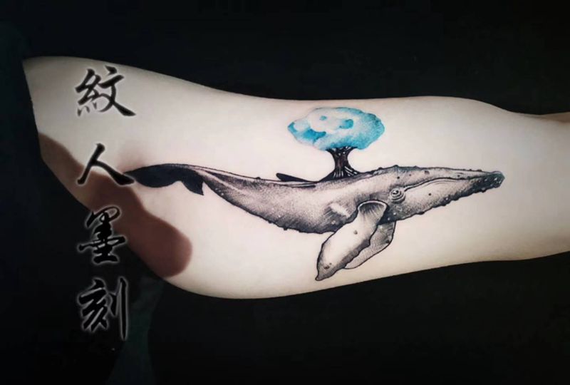 鲸鱼纹身图片_手臂纹身图案