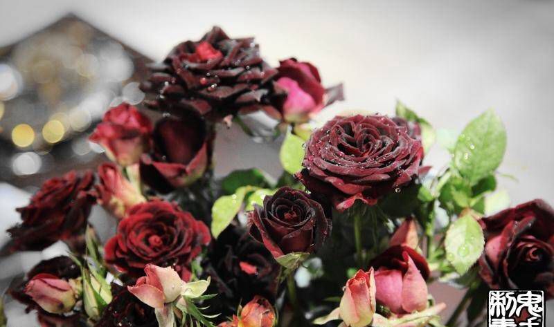 鬼手纹身纹身图片_云南昆明纹身图案