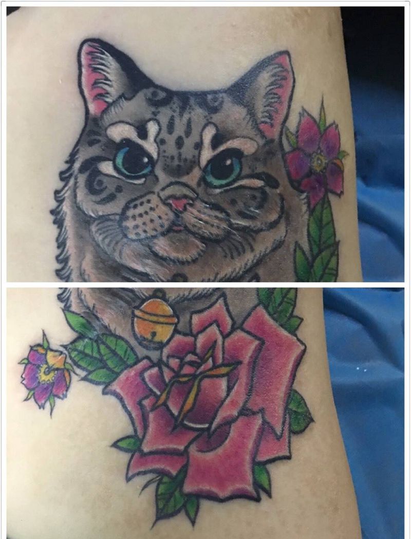 今天的图纹身图片_成品腰部欧美清新动物遮盖修改猫咪喵星人玫瑰纹身图案