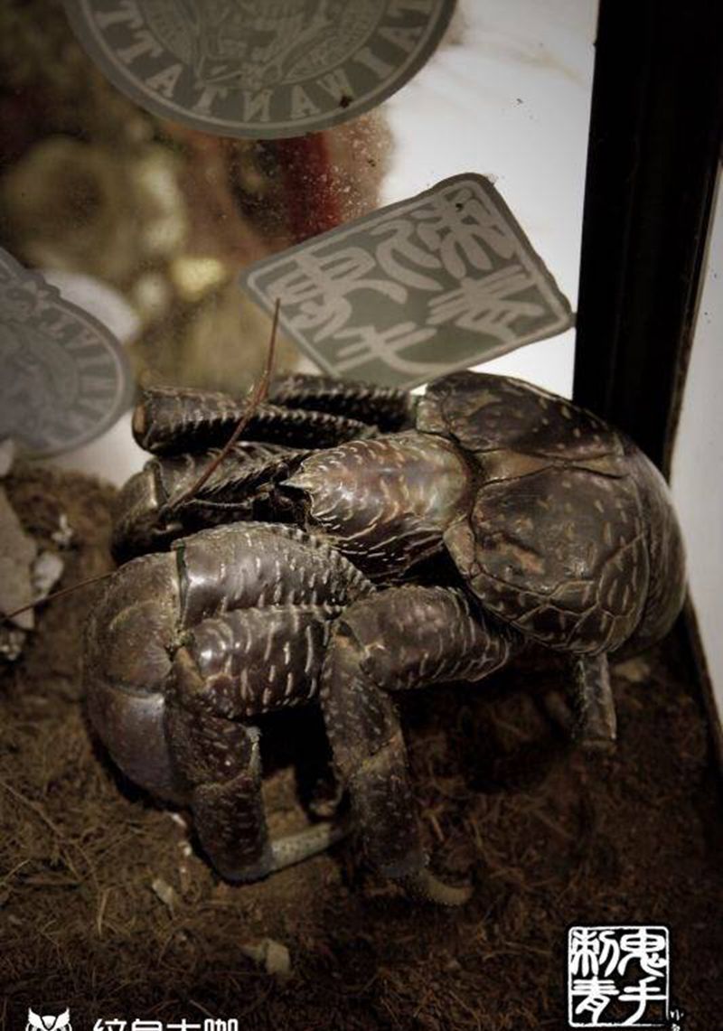 鬼手纹身纹身图片_鬼手昆明云南纹身图案