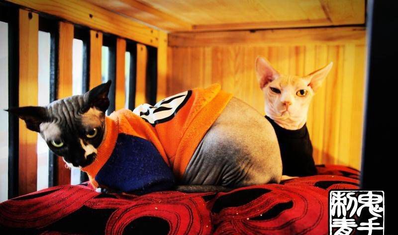 鬼手纹身纹身图片_云南昆明纹身图案