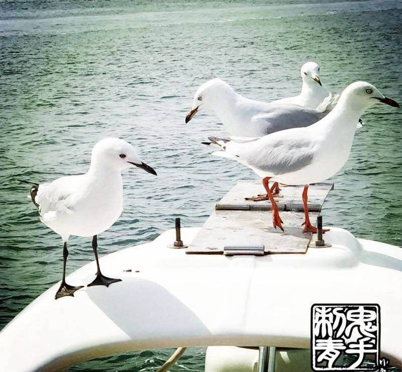 鬼手纹身纹身图片