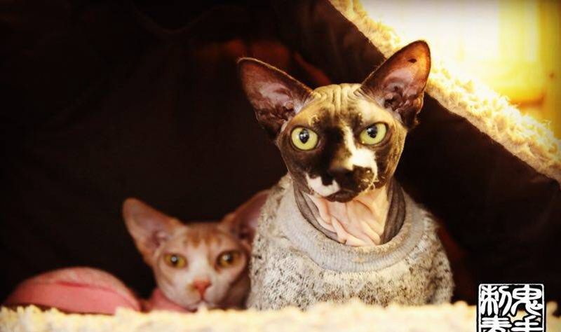 鬼手纹身纹身图片