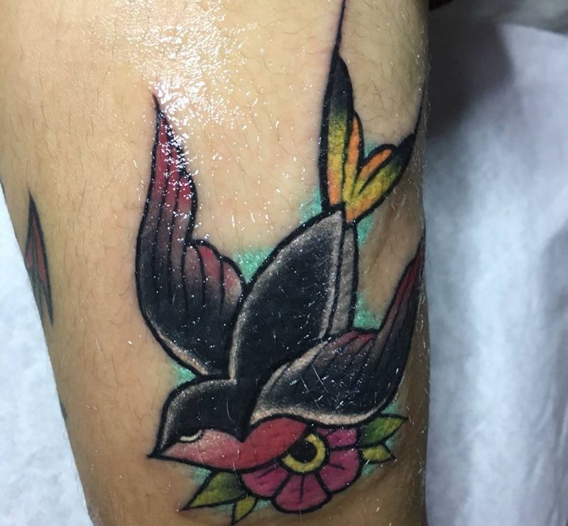 Old school纹身图片_成品手稿欧美传统动物燕子纹身图案