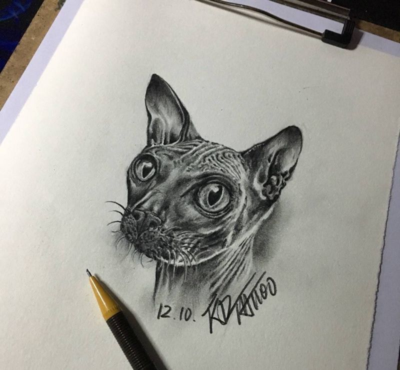 黑灰写实手稿纹身图片_成品手稿插画欧美写实猫咪黑灰写实纹身图案