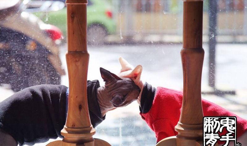 鬼手纹身纹身图片