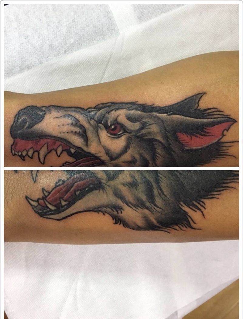 old school狼纹身图片_成品手臂欧美动物狼遮盖纹身图案