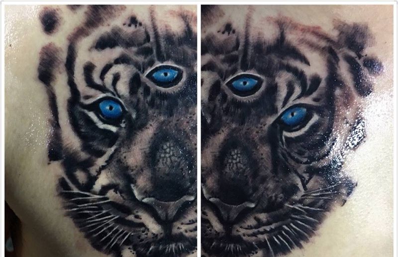 今天的写实老虎纹身图片_成品胸部欧美写实肖像动物老虎纹身图案