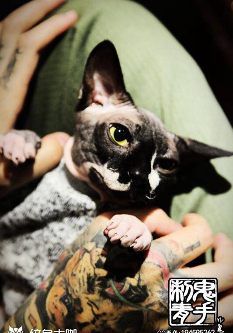 鬼手纹身纹身图片