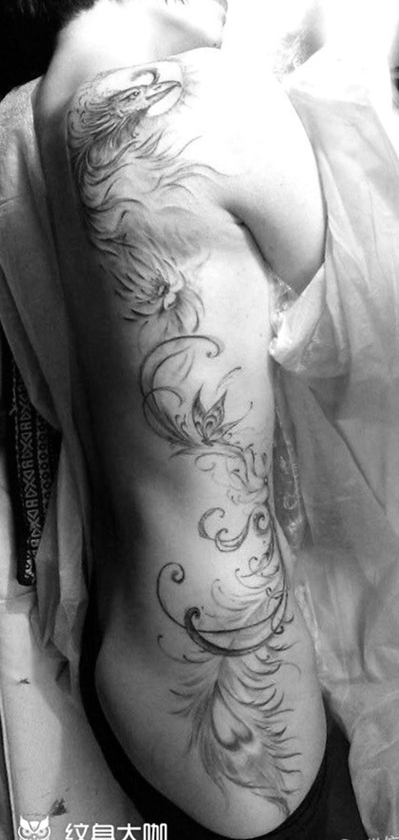 凤纹身图片_原创飘逸背部纹身图案