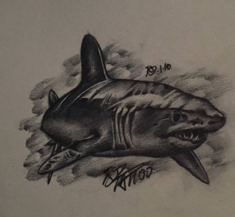 大鲨鱼手稿纹身图片_手稿插画欧美写实纹身图案