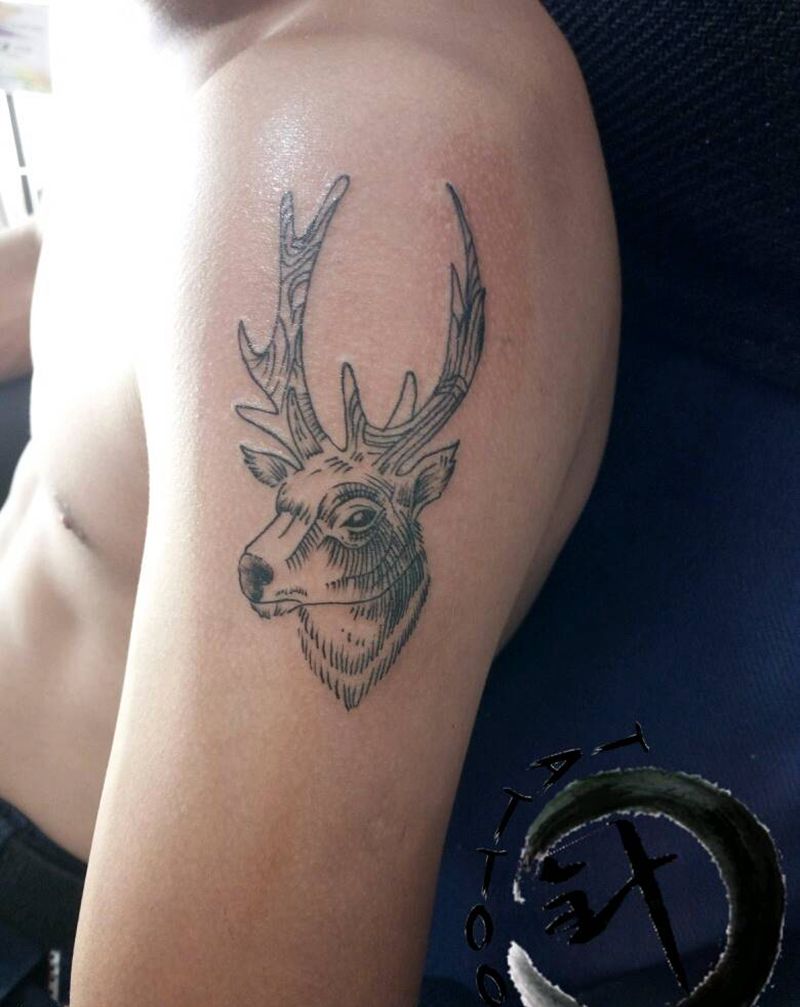 #鹿#纹身图片_手臂清新动物原创小小白刺塔图*针成品纹身图案