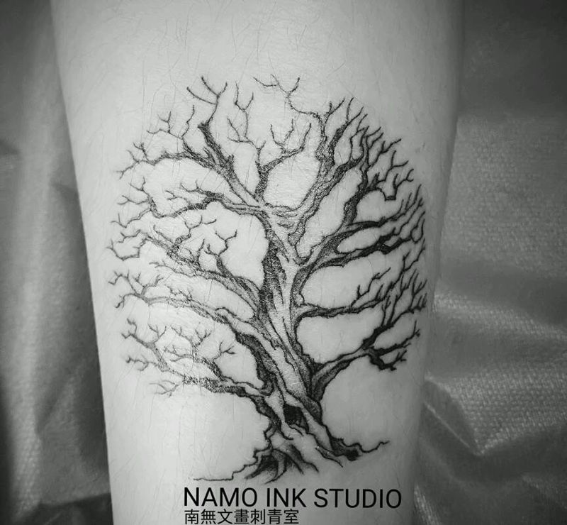 枯木纹身图片_腿部清新植物原创成品手稿纹身图案