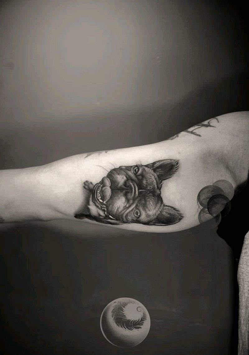 客人的狗子纹身图片_手臂欧美写实狗宠物纹身图案