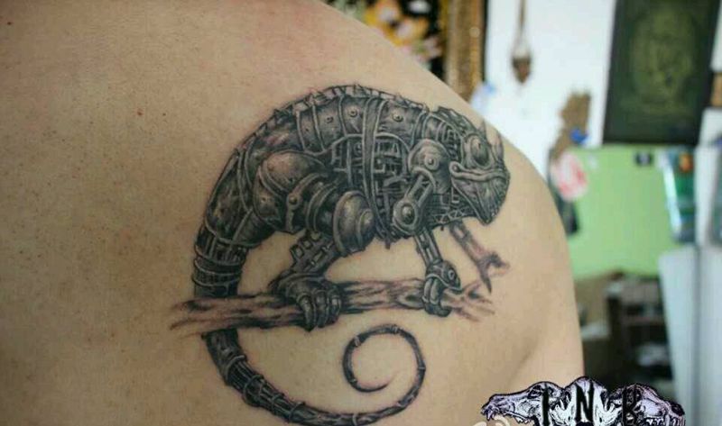 蒸汽变色龙纹身图片