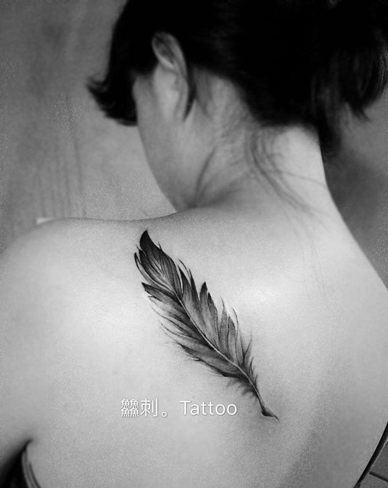 又见羽毛纹身图片_成品背部清新原创纹身图案