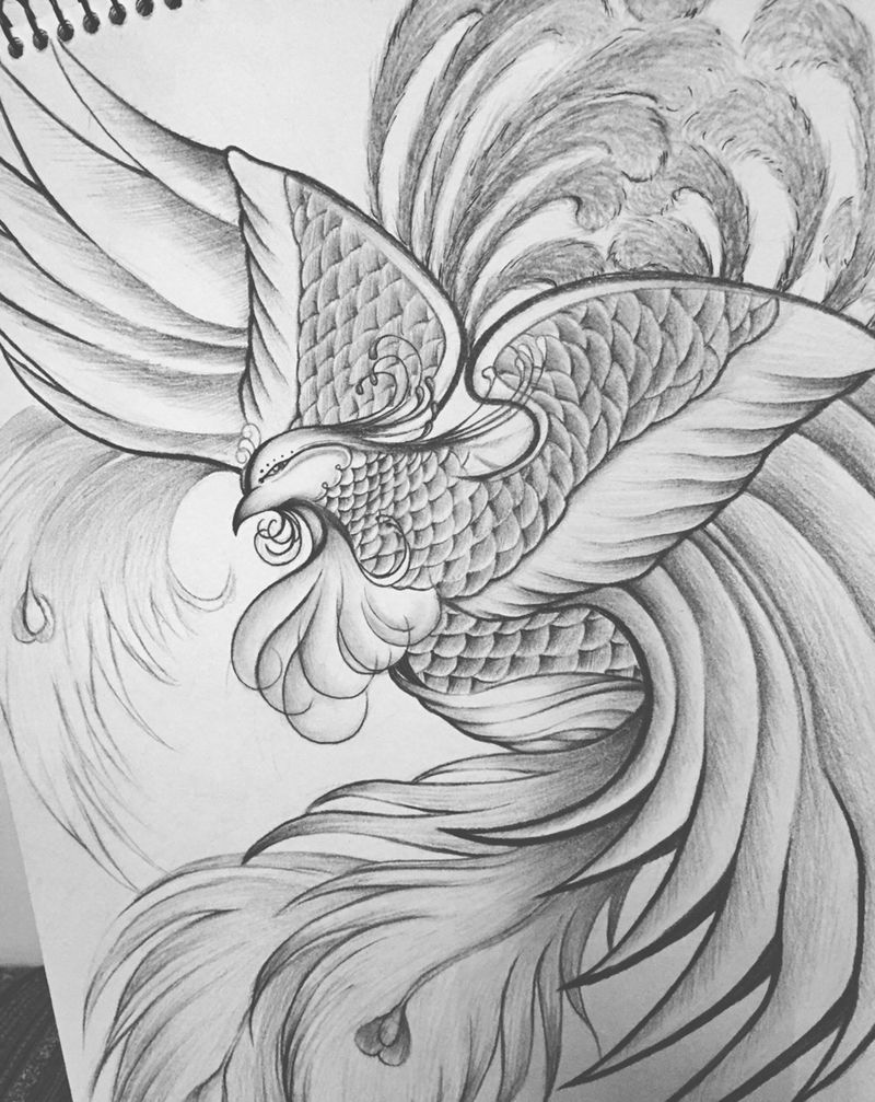 凤凰。原创纹身图片_手稿原创动物传统纹身图案