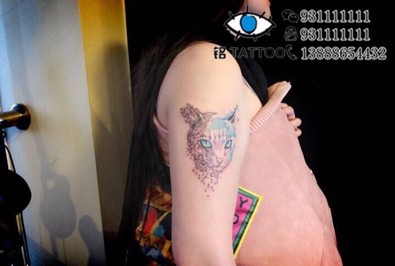 猫纹身图片