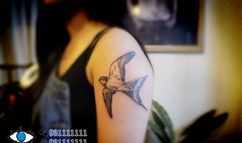 燕子纹身图片
