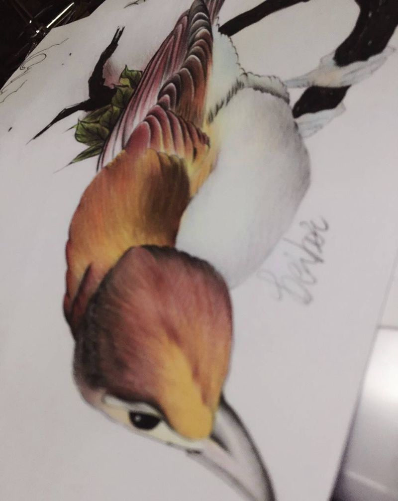 鸟手稿纹身图片_手稿胸部肩部背部手臂腿部国画写实原创动物纹身图案